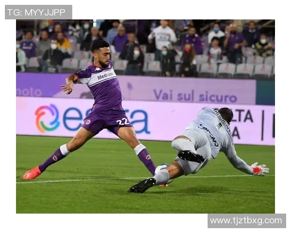 足球明星尼古拉斯的传奇之路与辉煌成就揭秘