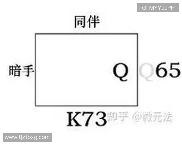 专业解读：南京排球队的防守打法